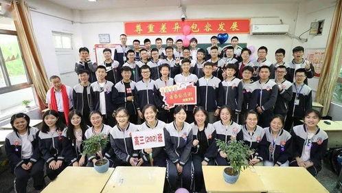 石家庄高三学生爆料新闻,揭秘校园生活背后真相